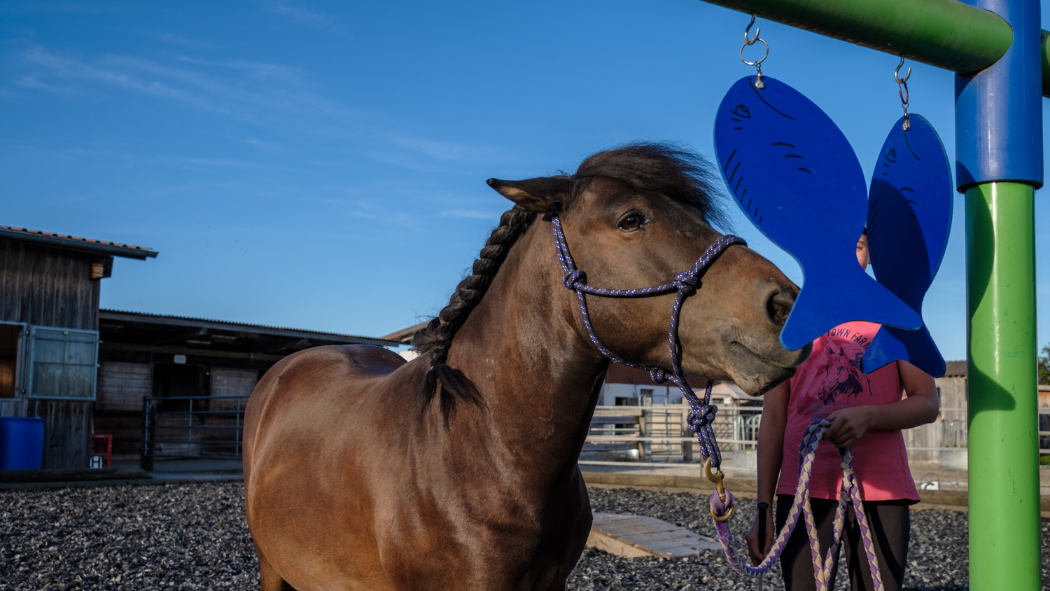 AdobeStock_278536780